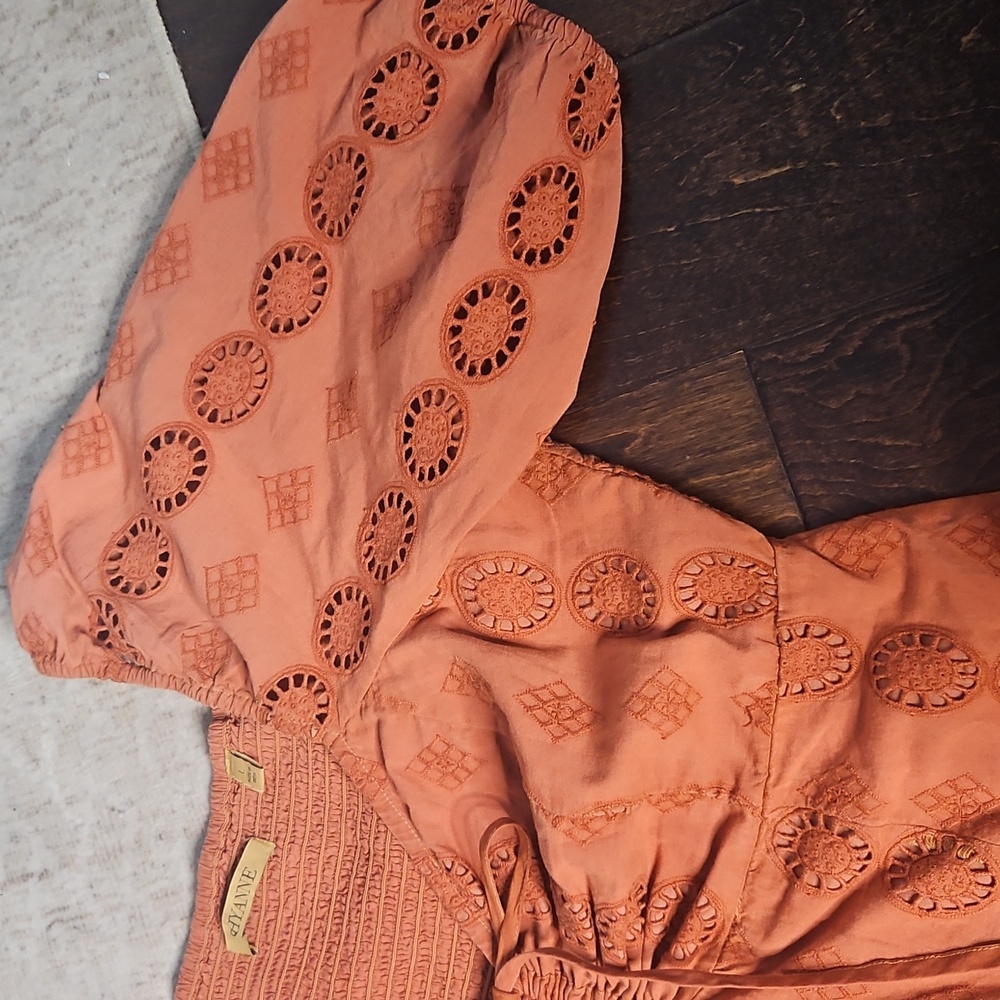 Shyanne Rust Eyelet Mini Dress - Picture 6 of 15